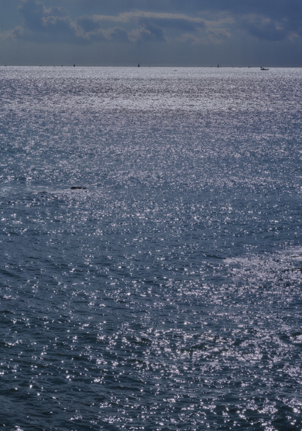 海のコンセプト画像02