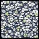 カラーバリエーション--1