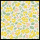 カラーバリエーション--2