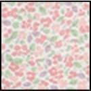 カラーバリエーション--2